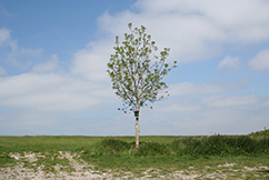 natureintervention