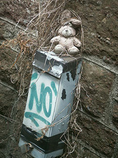 roobunny